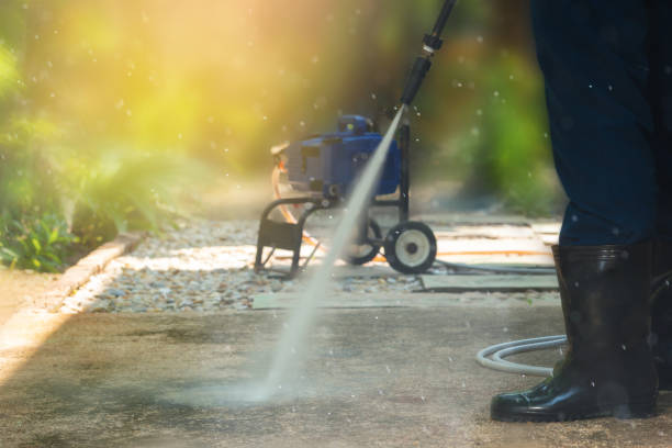 Best Animal Enclosure Cleaning  in Baileys Crossroads, VA
